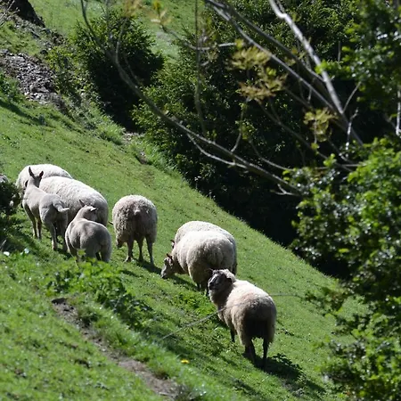 Gites De Thouy Casa de Férias Lacrouzette