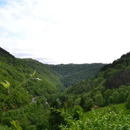Gites De Thouy Lacrouzette
